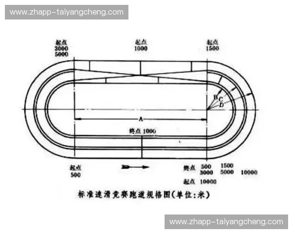 速度滑冰训练计划:从零到竞速的科学路径